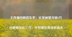 王传福回顾造车史：比亚迪曾月销3万台被嘲笑比三万，不知道还有没有明天