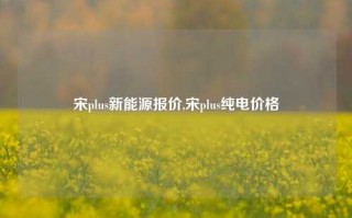 宋plus新能源报价,宋plus纯电价格