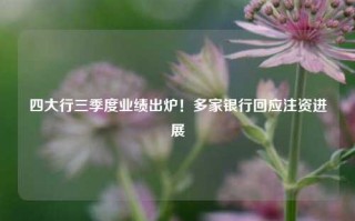 四大行三季度业绩出炉！多家银行回应注资进展