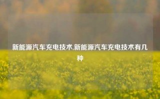 新能源汽车充电技术,新能源汽车充电技术有几种