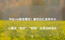 中证A500基金爆发！富安达汇成等中小公募来“参战”“陪跑”还是共同成长？