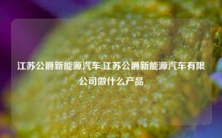 江苏公爵新能源汽车,江苏公爵新能源汽车有限公司做什么产品