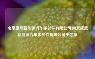 南京康尼新能源汽车零部件有限公司,南京康尼新能源汽车零部件有限公司王才振