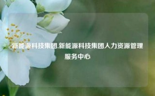 新能源科技集团,新能源科技集团人力资源管理服务中心