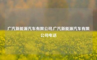 广汽新能源汽车有限公司,广汽新能源汽车有限公司电话