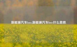 新能源汽车bms,新能源汽车bms什么意思