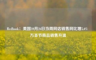 Redbook：美国10月26日当周同店销售同比增5.6% 万圣节商品销售升温