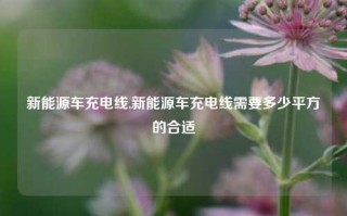 新能源车充电线,新能源车充电线需要多少平方的合适