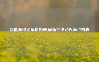 新能源电动车价格表,最新纯电动汽车价格表