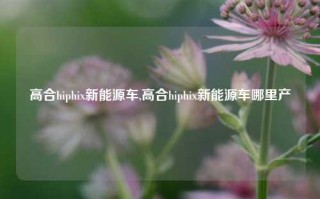 高合hiphix新能源车,高合hiphix新能源车哪里产