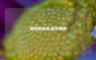 瑞闽新能源,福州瑞闽