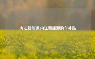 内江新能源,内江新能源购车补贴