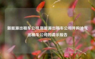 新能源出租车公司,新能源出租车公司并购油气出租车公司的请示报告