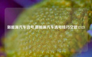 新能源汽车选号,新能源汽车选号技巧交管12123