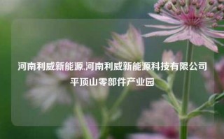 河南利威新能源,河南利威新能源科技有限公司平顶山零部件产业园