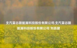 北汽蓝谷新能源科技股份有限公司,北汽蓝谷新能源科技股份有限公司 刘昌健