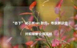 “吞下”诚芯微100%股份，希荻微欲借并购破解业绩困局