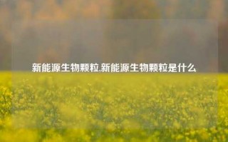 新能源生物颗粒,新能源生物颗粒是什么