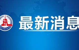 中国已就欧盟对华电动汽车反补贴调查终裁结果提出诉讼