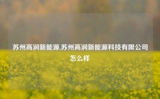 苏州高润新能源,苏州高润新能源科技有限公司怎么样