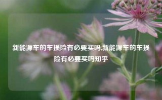 新能源车的车损险有必要买吗,新能源车的车损险有必要买吗知乎