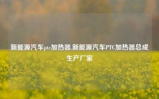 新能源汽车ptc加热器,新能源汽车PTC加热器总成生产厂家