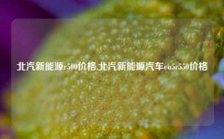 北汽新能源r500价格,北汽新能源汽车eu5r550价格