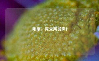 刚刚，深交所发声！