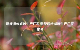 新能源传感器生产厂家,新能源传感器生产厂家排名