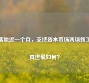 落地近一个月，支持资本市场两项新工具进展如何？