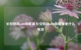 长安欧尚a600新能源,长安欧尚a600新能源是什么电池