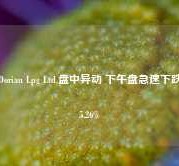 Dorian Lpg Ltd.盘中异动 下午盘急速下跌5.26%