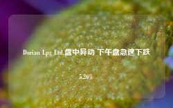 Dorian Lpg Ltd.盘中异动 下午盘急速下跌5.26%