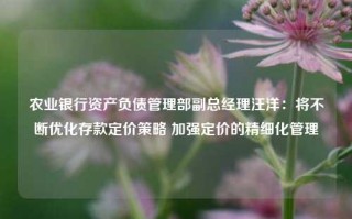 农业银行资产负债管理部副总经理汪洋：将不断优化存款定价策略 加强定价的精细化管理