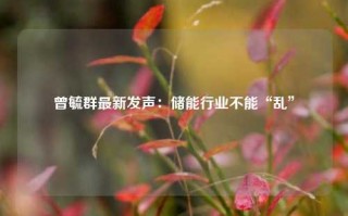 曾毓群最新发声：储能行业不能“乱”