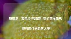 鲍威尔：如果经济数据让我们放慢降息 顺势而行是明智之举