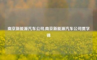 南京新能源汽车公司,南京新能源汽车公司贾学锦