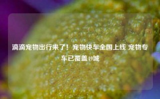 滴滴宠物出行来了！宠物快车全国上线 宠物专车已覆盖49城