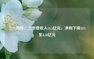 三一国际：三季度收入51.5亿元，净利下降35%至3.56亿元