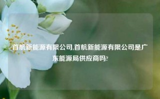 首航新能源有限公司,首航新能源有限公司是广东能源局供应商吗?