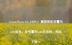 Central Puerto S.A. (CEPU)：集团装机容量为6,703兆瓦，发电量为5,685吉瓦时，同比下降1%