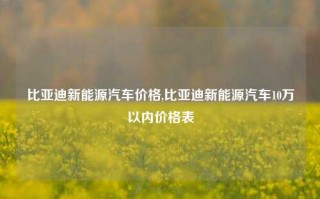 比亚迪新能源汽车价格,比亚迪新能源汽车10万以内价格表