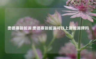 奥德赛新能源,奥德赛新能源可以上新能源牌吗