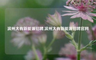 滨州大有新能源招聘,滨州大有新能源招聘官网