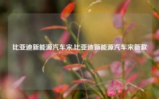 比亚迪新能源汽车宋,比亚迪新能源汽车宋新款