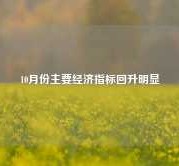 10月份主要经济指标回升明显