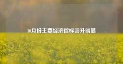 10月份主要经济指标回升明显