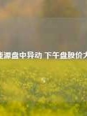 美国能源盘中异动 下午盘股价大跌5.39%