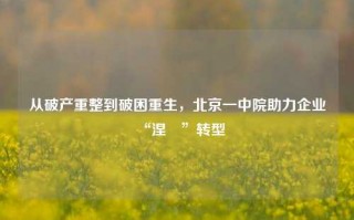 从破产重整到破困重生，北京一中院助力企业“涅槃”转型