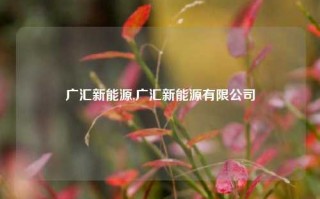 广汇新能源,广汇新能源有限公司